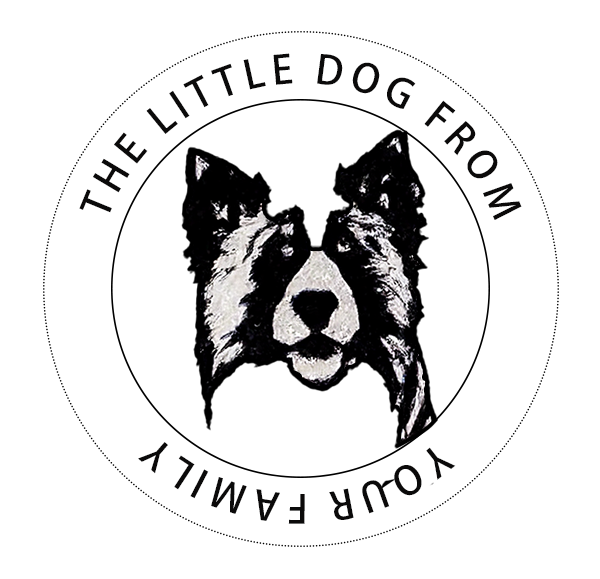 Custom Pet Stamp - Hand-Drawn Pet Portrait - Self-Inking Rubber Stamp Personalized Design STK-6001