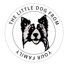 Custom Pet Stamp - Hand-Drawn Pet Portrait - Self-Inking Rubber Stamp Personalized Design STK-6001