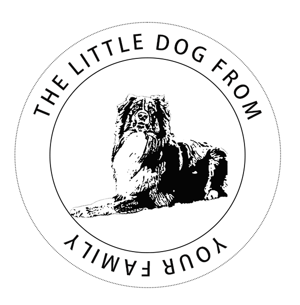 Personalized Pet Stamp - Hand-Drawn Custom Design - Self-Inking Rubber Stamp Gift STK-6003